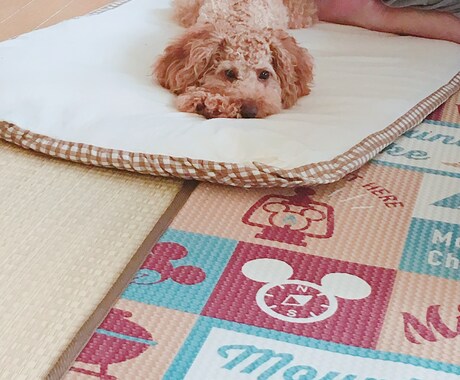 つらくない？話ます 心の病、少しでも和らげます(*´꒳`*)♡ イメージ1