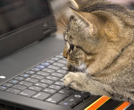 Excel VBA 開発・修正なんでもやります ビジネス等で日々行う面倒な作業がボタン一つで終わります！ イメージ1
