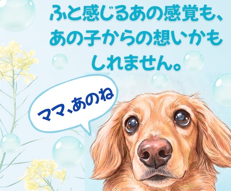アニマルコミュニケーション/あの子の心の声伝えます あの子の想い、あなたへ伝えたいこと受け取ってみませんか？ イメージ2