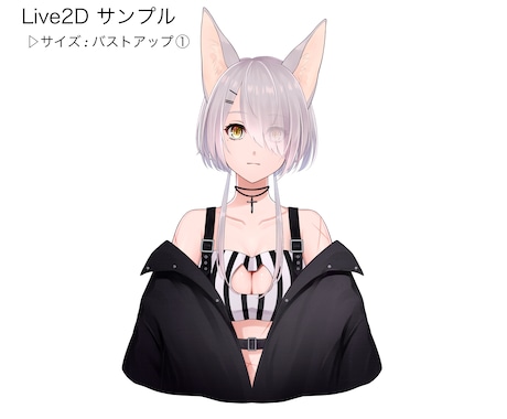 Live2D用イラストを制作致します Vtuberになりたいあなたへ！ イメージ1