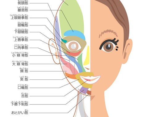 女性限定【マンツーマン顔ヨガレッスン】お届けします たくさん褒める先生です♡顔ヨガで自分らしくご機嫌な日常を！ イメージ1