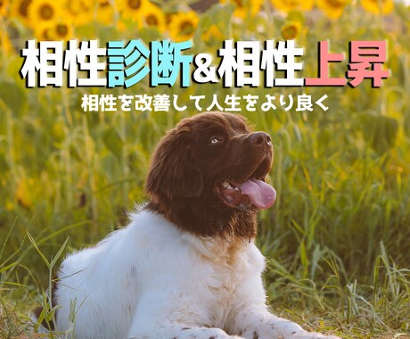 オールジャンル対応の相性診断&相性上昇を提供します 様々な物との相性がわかり、上昇も出来る！ イメージ1