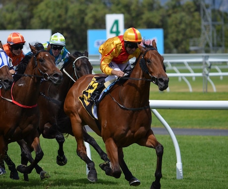 有馬記念WEEK！勝負の１４レース分予想します いよいよ有馬記念！渾身の有馬記念予想や阪神カップ予想です！ イメージ1