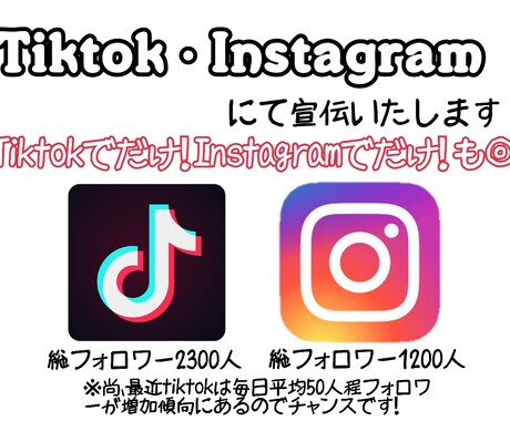 TikTok・Instagramで宣伝します SNSで宣伝（フォロワー数は画像より増加しているので下記へ） イメージ1