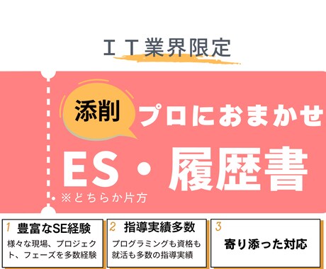 エントリーシートや履歴書の添削します 【IT業界限定】「通る書類」作りをサポートします！ イメージ1