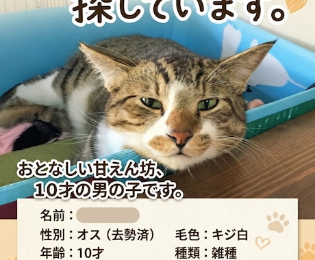 ペットの里親募集デザインを作成します SNS用画像やバナー、ポスターなど イメージ1