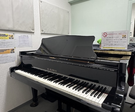 初心者歓迎♪現役ピアノ講師が何でも相談に乗ります 1ヶ月の内何回ご相談いただいてもok！ イメージ2