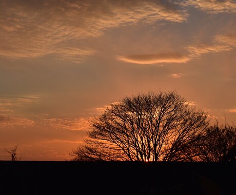夕日の写真、ご提供します 一眼レフで撮影した真っ赤な写真をお届け! イメージ2
