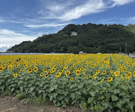 あなたのその悩み解決します あなたの1日は、どんな1日でしたか？私にも聞かせてください イメージ1