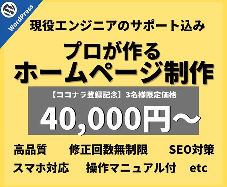 コミコミ1万円！歴4年のプロがサイト制作します SEO検索順位1位の実績│企業案件実績│HPのマニュアル配布 イメージ1