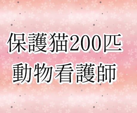 TNRのやり方を経験者が教えます 動物看護師が丁寧にアドバイスします イメージ2