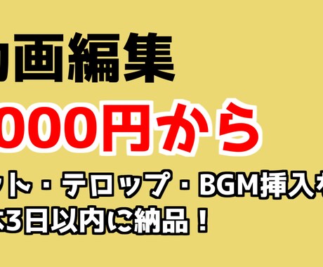 動画編集（カット・テロップ・BGM挿入など）します youtuberさん大歓迎！最短即日納品可能！ イメージ1