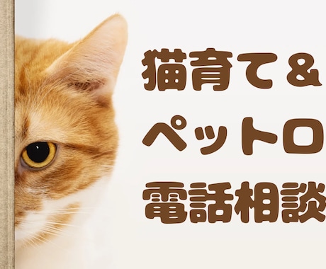 猫育て＆ペットロス電話相談承ります 愛猫との幸せな日々をサポート。悲しみも共に乗り越えましょう。 イメージ1