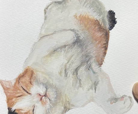 写真そっくりのイラストを描きます あなたのペットや好きな動物をアートにしてみませんか？ イメージ1