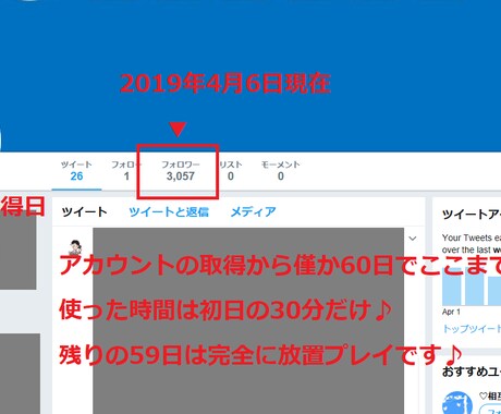 Twitterアカウントのズルい育て方を提供します 本物の日本人フォロワーが”完全放置”でサクサク増やせます♪ イメージ1