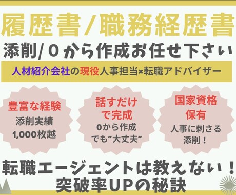 選考通過率UP！職務経歴書を人事のプ口が作成します 話すだけで完成！人事のプロが通過率の上がる職務経歴書を作成 イメージ1