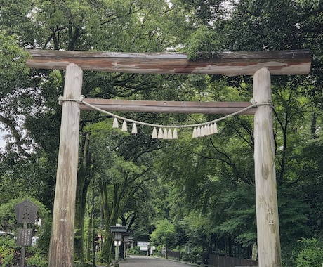 停滞期をチャンスに！運気アップの鍵をお伝えします 不安な天中殺を安心に！算命学であなたの未来を明るくサポート イメージ1