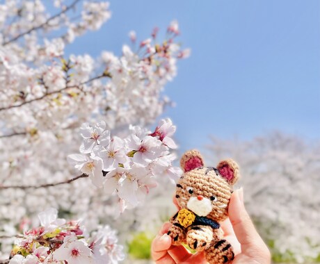 ご家族のペットの編みぐるみを制作いたします 猫ちゃん、犬ちゃん等の編みぐるみの制作いたします！ イメージ2