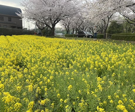ピアス開けたくなるのわかります 開けたくなるのは自傷行為を我慢してる証拠。 イメージ1