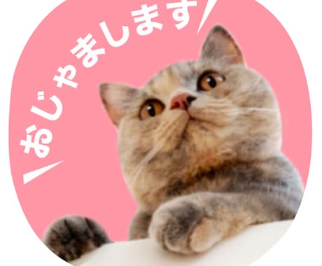 3種類ゲット★写真アイコン作ります デザインもご提案！ご自身やペットのアイコンを作りませんか？ イメージ2