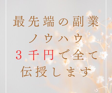日給１万円を達成するための副業マニュアル伝授します ＜＜毎日着実な利益を積み上げる＞＞ イメージ1