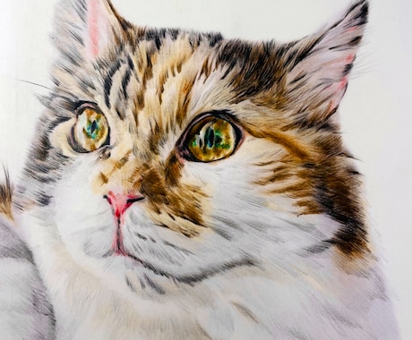 ペットのリアルな似顔絵を描きます ポストカードサイズ。世界に一つ、心に残るペット似顔絵。 イメージ2