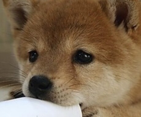 まずはお試し感覚で♪あなたのお話聴きます 優しい声で丁寧にあなたのお話に寄り添います イメージ2