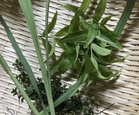 貴方に合った、美容に良いお茶のブレンドを考案します 体の中から美しくなりたい貴方へ イメージ2