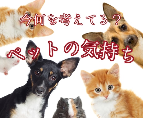 どう思ってる？ペットちゃんの心の声を聴きます あなたの想いとペットちゃんの想いを繋ぎ、心の絆を深める鑑定 イメージ1
