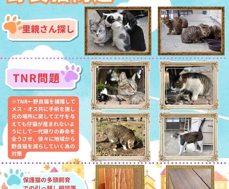 野良猫に関しての色々なお悩みをお聞きいたします 野良猫の保護、里親様探し、不妊手術、多頭飼育での賃貸物件探し イメージ1