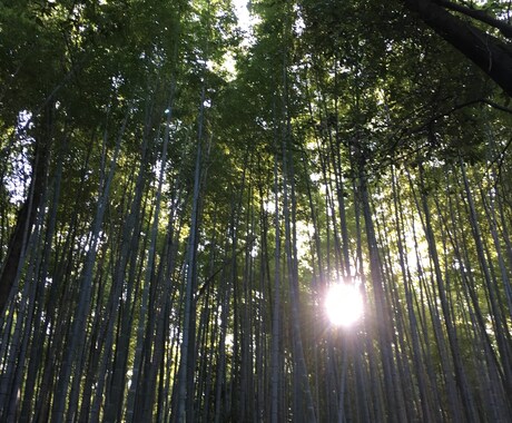 とりあえず話してみませんか？チカラになります 誰にも言えない悩みがある、あと一押ししてほしいあなたへ イメージ2