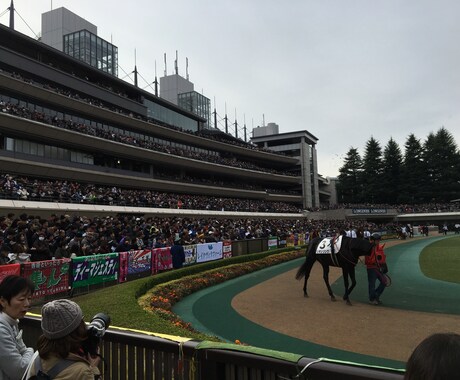 競馬の法則　馬の選び方伝授します 大反響！競馬新聞は一切不要！無料データ閲覧のみ！ イメージ1