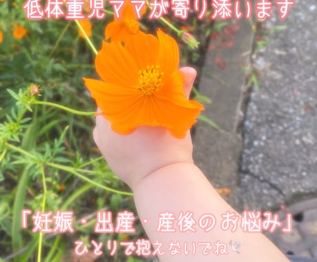 低体重児ママがお悩み・不安に優しく寄り添います 【低体重・早産】保育士ママと少しでも安心してお話しませんか？ イメージ1