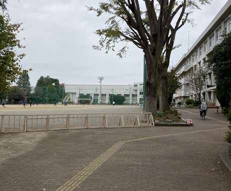 現役医学生が受験勉強を教えます 全科目対応可能です、教える時間帯は要相談です！ イメージ1