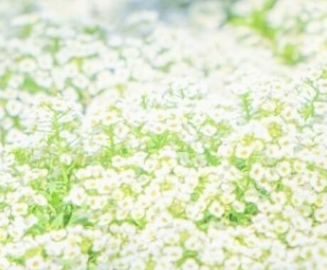 45分の変化を感じやすい 本命 コースで整えます 量子エネルギーヒーリングで深層にアプローチ イメージ1