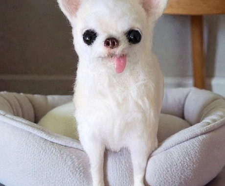 大切な愛犬さんをお作りします うちのコ羊毛フェルトワンコオーダー イメージ2