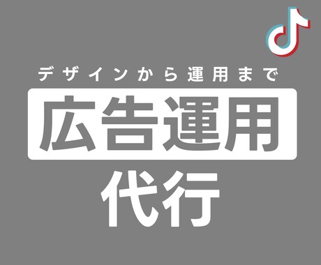 TikTok広告運用します デザインから運用までマルっと請け負います イメージ1