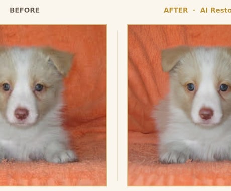 愛犬写真、プロの手仕事で美しく修復、レタッチします イラストではなく本物の写真のまま残したい方へ イメージ2