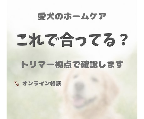 やりすぎ？足りない？犬のケアを整理します トリマーの視点で、今の状態を整理します イメージ1