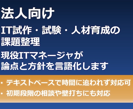 法人向け｜IT施策・試験・人材の課題を整理します 現役ITマネージャによる方針相談・論点整理（テキストのみ） イメージ1