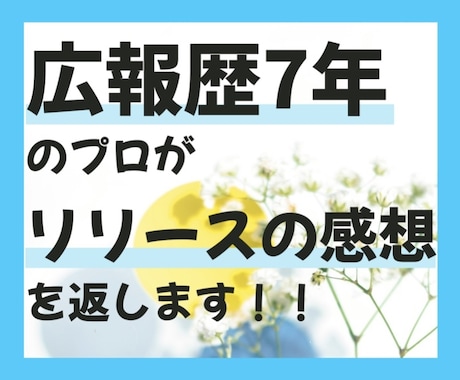 広報歴7年！プロがプレスリリースの感想を返します 権利侵害・炎上回避などリスク管理のアドバイスも！ イメージ1