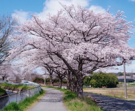 相性特化して占います 恋愛でのお悩みを相性の視点から占います☆きっと答えが見つかる イメージ1