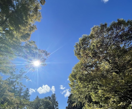 こころとからだの癒し相談室になります 今日の悩みは、今日のうちにスッキリ イメージ1