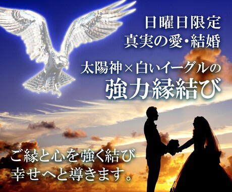 日曜日限定！太陽神×白いイーグルの特別な縁結びます 太陽神ホルスと願望成就に優れた白イーグルの力を込めた施術です イメージ1