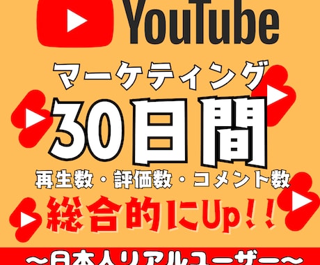 YouTubeのチャンネルを総合的に伸ばします 登録者数・評価数・コメント数の総合的な増加施策‼️ イメージ1