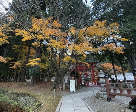 生まれてきた意味を教えます どうして生きる事が苦しいのか、抜け出す方向に導きます☆ イメージ1