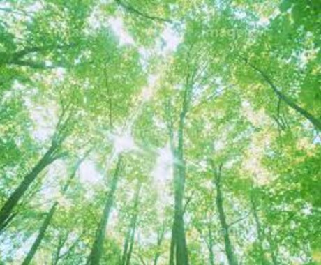 心が疲れてしまった方の相談を受け付けます 心の病気を克服した実体験から、悩み相談を受け付けます。 イメージ1