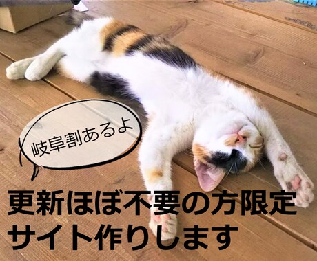 岐阜割あり★更新ほぼ不要の方限定でサイト作ります 情報発信はSNSやブログでやってる、特設サイトを作りたい等 イメージ1