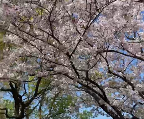 ちょっとおしゃべりしたい気軽な会話いたします 愚痴、人間関係　家族、仕事やいろんな悩みここで解消しませんか イメージ2