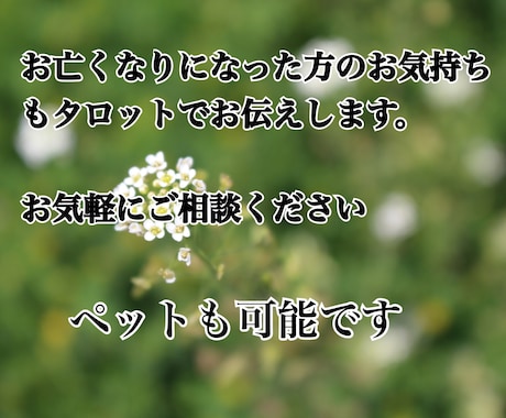 あなたの恋愛♡仕事⭐︎人間関係占います ご祈祷と縁結び付！いい方向に導きます！ イメージ2